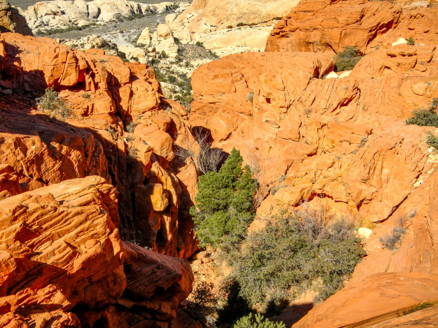 Hiking the Calico Tanks Trail at Red Rock Canyon - Three Days In Vegas